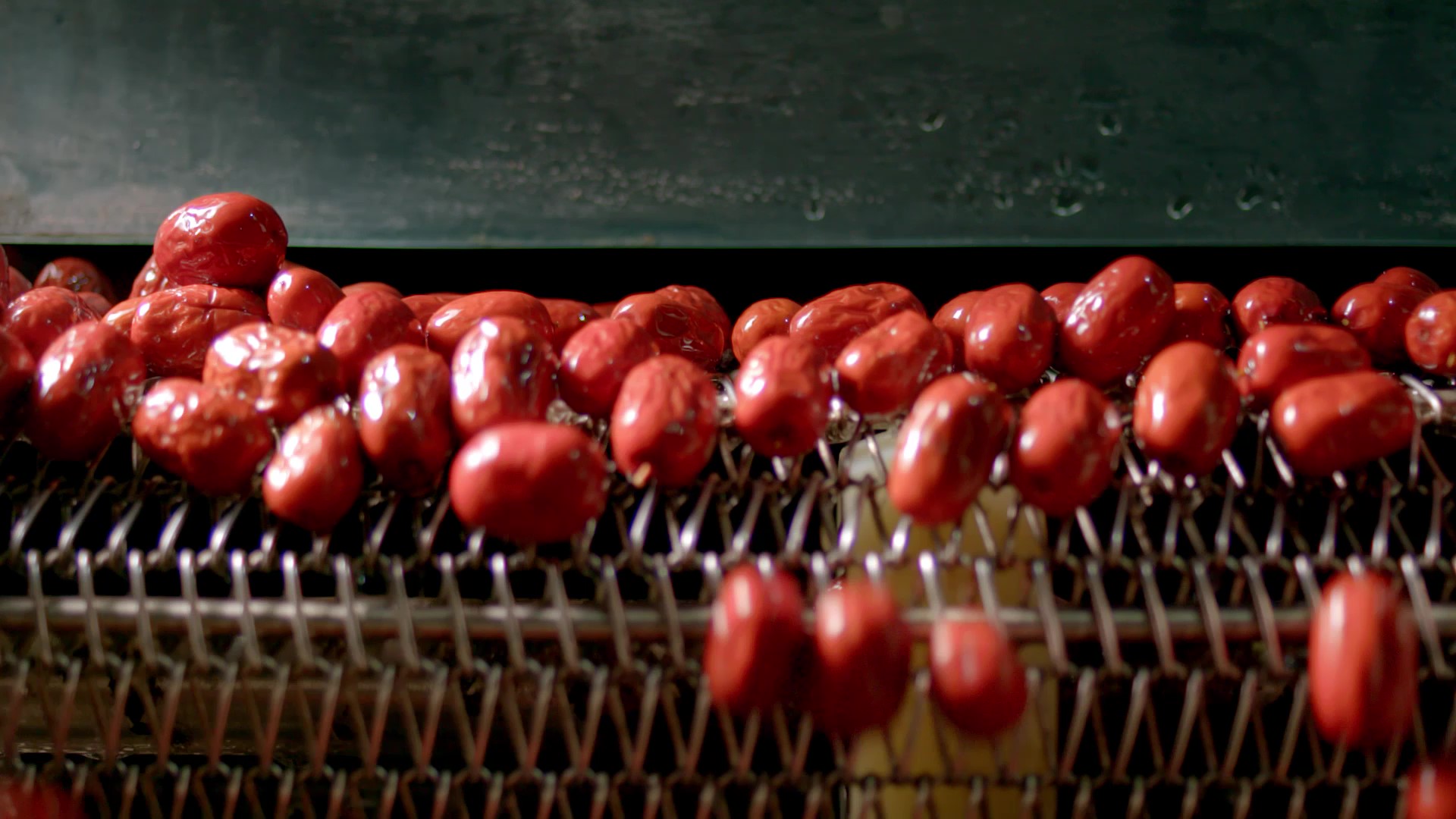 清洗4.jpg 清洗4.jpg